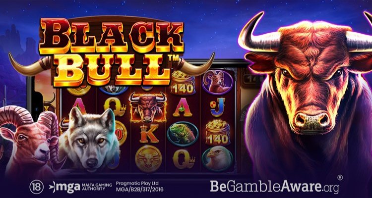 Read more about the article What Bullspins Casino Is All About